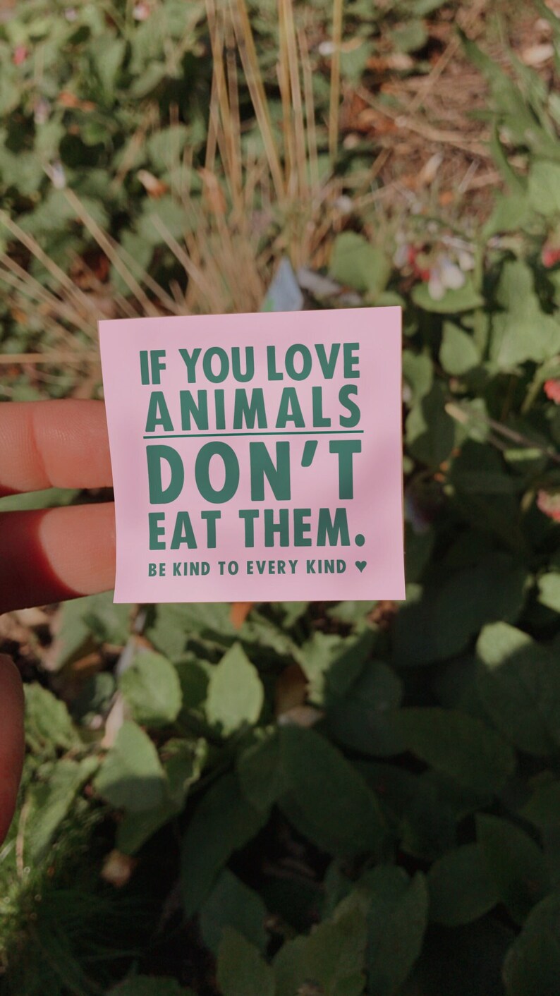 Vegan Stickers Small Outdoor Vegan Stickers Friends not food, Animal Rights Activism, Go Vegan, Veganism Sticker Set image 4