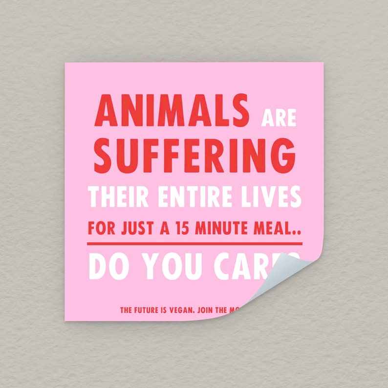 Vegan Laptop / Bumper Sticker Animals Are Suffering, Do You Care Outdoor Stickers, Animal Rights, Go Vegan, Friends Not Food Sticker image 3