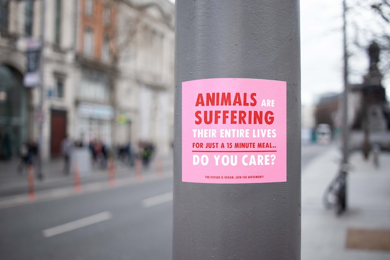 Vegan Laptop / Bumper Sticker Animals Are Suffering, Do You Care Outdoor Stickers, Animal Rights, Go Vegan, Friends Not Food Sticker image 2