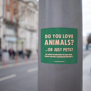 Set de 10-100 pegatinas veganas / Ama a todos los animales, no solo a las mascotas / Pegatinas para exteriores / Activismo por los derechos de los animales, Amigos, no comida, Veganismo