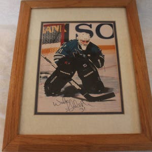 Framed Wade Flaherty Autographed Picture - San Jose Sharks, 31