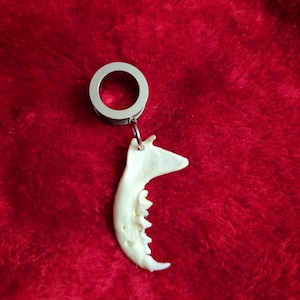 Mink jaw dangle ear tunnel, real bone tunnel, 6mm 8mm 10mm 12mm 14mm 16mm 20mm