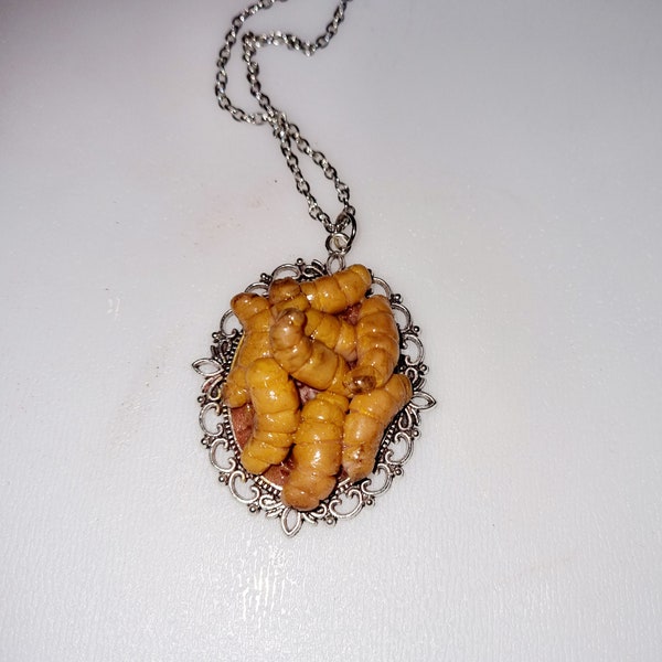 Grub pendant, witchetty grub pendant, insect pendant, clay sculpted pendant
