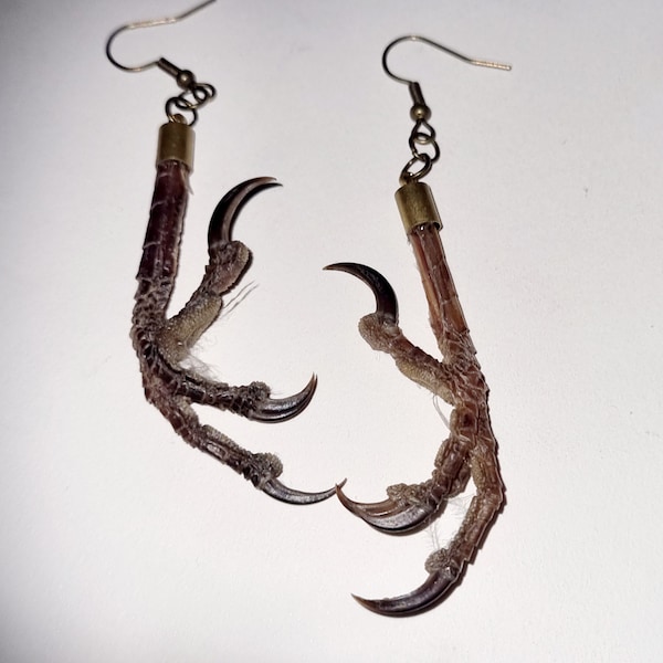 Real bird feet earrings, Jay earrings, bird claw earrings