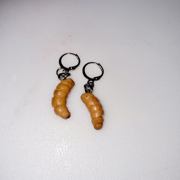 Grub earrings, insect earrings, witchetty grub earrings