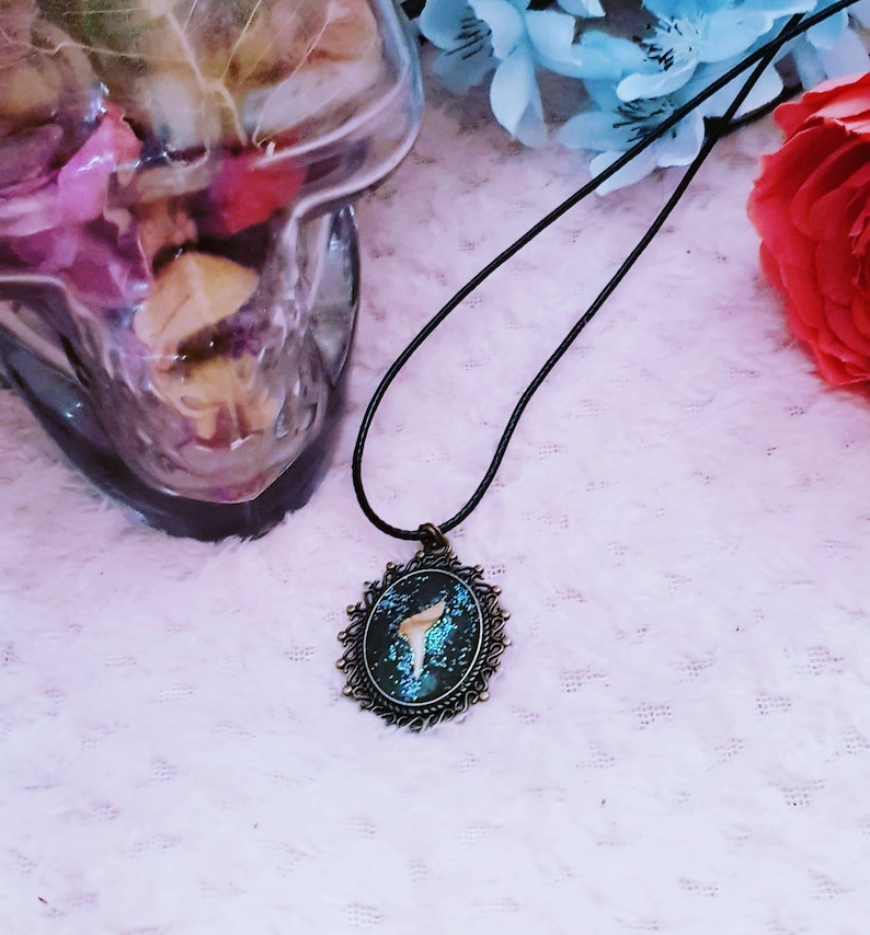 gothic skulls emo egirl Shark tooth pendant taxidermy bronze cameo alt real shark tooth cameo pendant real tooth necklace