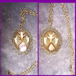 Real skull and crystal pendant, tigers eye crystal pendant, mouse skull and jaw bone pendant, curio pendant, rose quartz crystal pendant