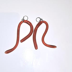 May include: A pair of red worm earrings. The earrings are made of a flexible, rubber-like material and are shaped like worms. They are attached to silver hooks.