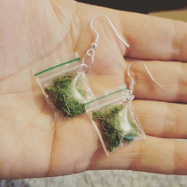 May include: A pair of novelty earrings featuring small clear plastic bags filled with green material, suspended from silver-colored fish hook ear wires. The bags have a green seal at the top.