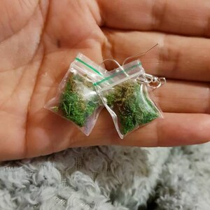 May include: A pair of novelty earrings featuring small clear plastic bags filled with green moss. The bags are sealed with a green stripe and attached to silver-colored earring hooks. The earrings are held in a hand.