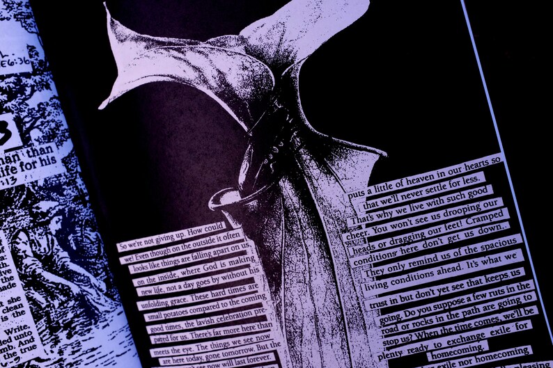 K&ouml;nnte beinhalten: Schwarz-wei&szlig;e Kunst mit einem stilisierten Blumendesign und Textausz&uuml;gen. Das Bild hat eine dunkle, stimmungsvolle &Auml;sthetik mit violetten und blauen Farbt&ouml;nen. Der Text ist in einer Serifenschrift.