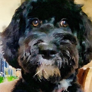 Watercolor Glicée Original Dog Print (Close Up)