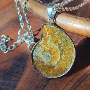 Ammonite fossil necklace