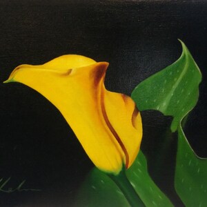 Yellow Calla Lily,  original oil painting on canvas, 9&quot;x 12&quot;