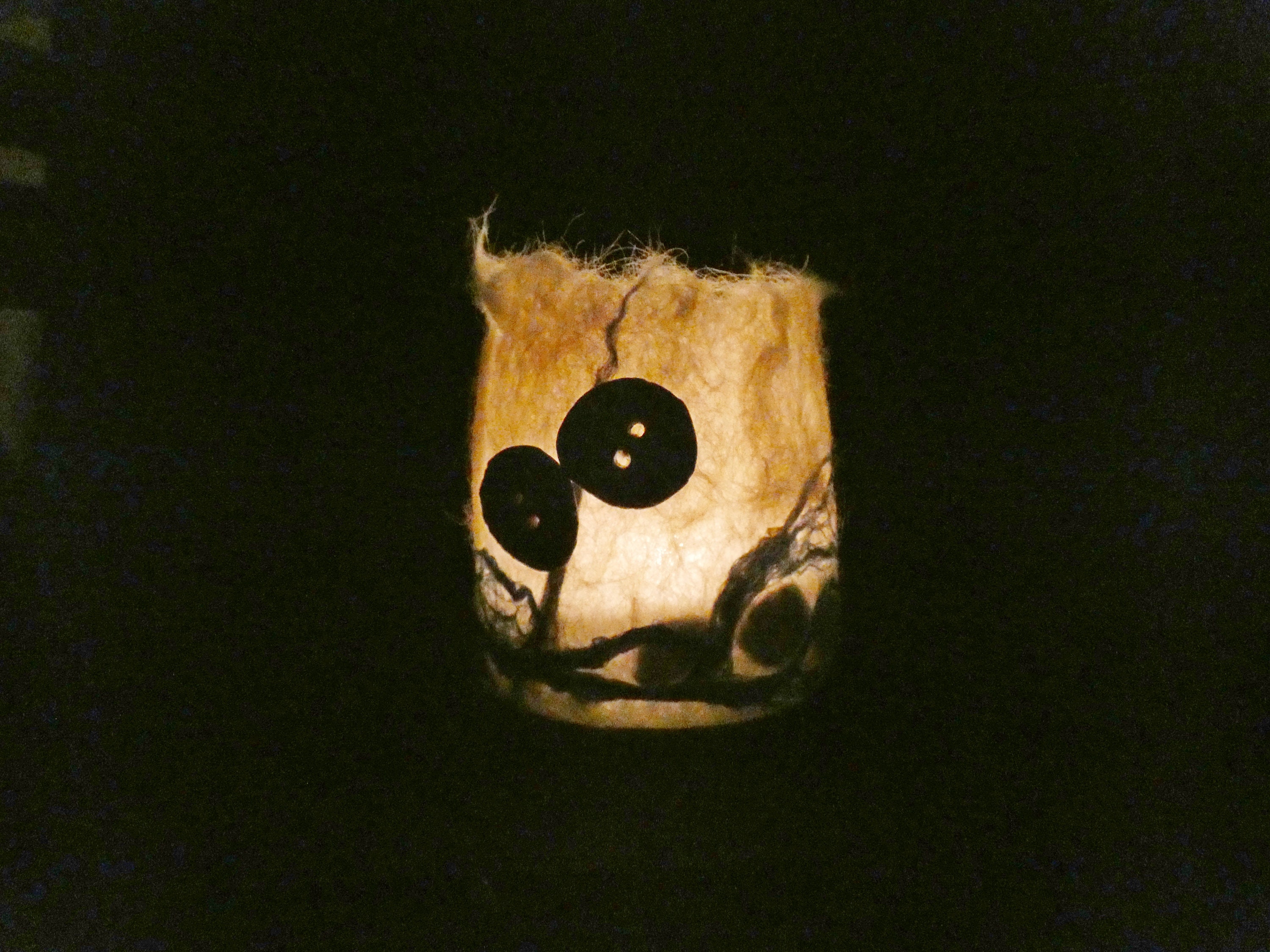 Photophore Decoration Lumineuse Maison Laine Feutrée