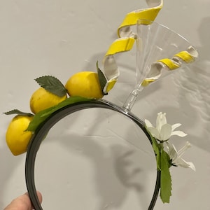 Martini Birthday Lemon Twist Girl Birthday Party Crown Birthday Party Favors Party Hat Party Crown 21st Martini Glass Las Vegas