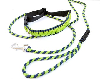 nitey leash
