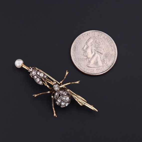 Victorian Diamond Insect Brooch Silver Topped 14k… - image 2