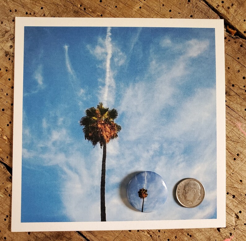 1' pin-back button pins White Daisies, Palm Tree image 4