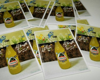 Jarrito de Piña- sticker