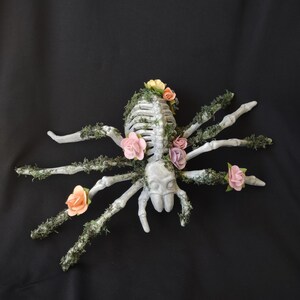 Spider, Day of the Dead Spider, Dia de Los Muertos Spider, Flower Goth SpiderSpider, spider skeleton, gothic spider