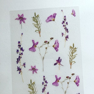 Pegatinas de plantas de hierbas de romero, pegatinas de planificador de flores violetas, pegatinas florales, pegatinas decorativas botánicas, pegatinas para álbumes de recortes y manualidades
