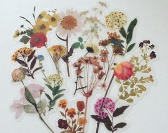 Pressed Wildflower Stickers: Boho Floral Decals, Clear Plastic Set