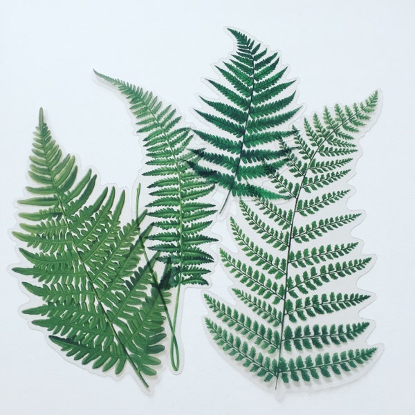 Large Fern Leaf Stickers, Foliage Planner Stickers, Green Leaves Stickers, Greenery Stickers, Botanical Scrapbook / Crafting Stickers