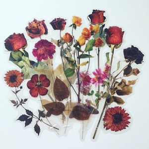 Set di adesivi di grandi fiori secchi, adesivi di rose pressate, adesivi di fiori di campo pressati, adesivi floreali hippie boho, adesivi di fiori di prato