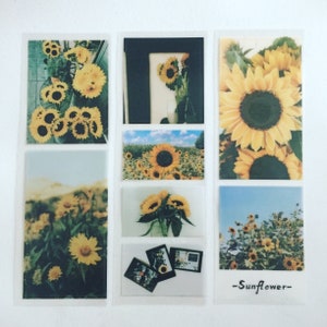 Ensemble d'autocollants de champ de tournesol, autocollants de tournesol, autocollants floraux hippie bohème, autocollants de fleur jaune, cadeau d'amant de plante