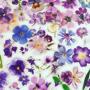Geperste paarse bloemenbloesemstickers, stickers gedroogde bloemen, wilde bloemenstickers, boho bloemenstickers, weidebloemstickers