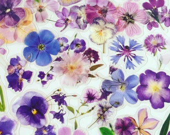 Pressed Flower Stickers: Purple Floral Bloom Stickers (40pc)