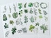 Foliage Sticker Set, Green Leaf Planner Stickers, Leafy Plant Stickers, Botanical Decorative Stickers, Greenery Scrapbook Stickers 