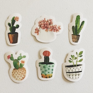 Pegatinas de cactus, pegatinas de suculentas, pegatinas de plantas de cactus, pegatinas decorativas botánicas, pegatinas de álbumes de recortes, pegatinas de planificador