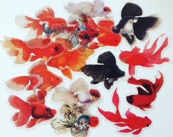 Japanese Koi Fish Stickers: Clear Plastic Carp Stickers, Set of 14