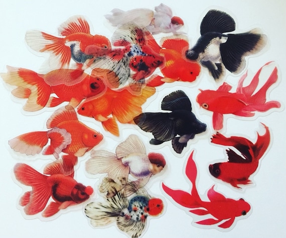 Japanese Koi Fish Stickers: Clear Plastic Carp Stickers, Set of 14