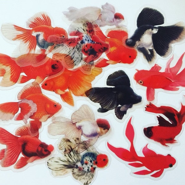 Koi Fish Sticker Set, Japanese Carp Fish Stickers, Aquarium Stickers, Japan Crafting Stickers, Japanese Deco Stickers, Koi Fish Lover Gift