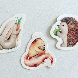 Woodland Animals Stickers, Fox / Hedgehog / Rabbit / Squirrel Deco Stickers, Scrapbooking Stickers, Card Embellishments, Crafting Stickers image 2