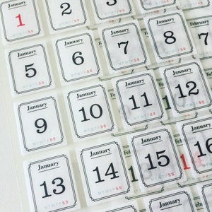 Adesivi per calendario data, foglio di adesivi per calendario mese, adesivi per pianificatore giornaliero, adesivi per diario 365 giorni, adesivi per album di ritagli mese