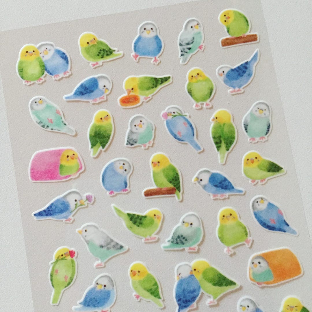 Peeping Parrots Planner Stickers, Budgerigar / Parakeet Deco Stickers ...
