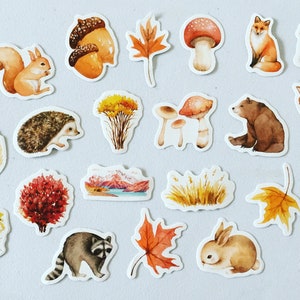 Adesivi animali della foresta, adesivi volpe/orso/coniglio/scoiattolo/cervo, adesivi per scrapbooking autunnale, adesivi per creazioni autunnali nei boschi