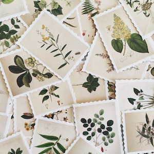 Conjunto de carimbos com ilustrações botânicas, adesivos com carimbos de plantas, adesivos decorativos botânicos, adesivos para scrapbooking, enfeites para cartões, presente para quem ama plantas