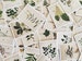 Botanical Illustration Stamp Set, Plant Stamp Stickers, Botanical Deco Stickers, Scrapbooking Stickers, Card Embellishment, Plant Lover Gift 