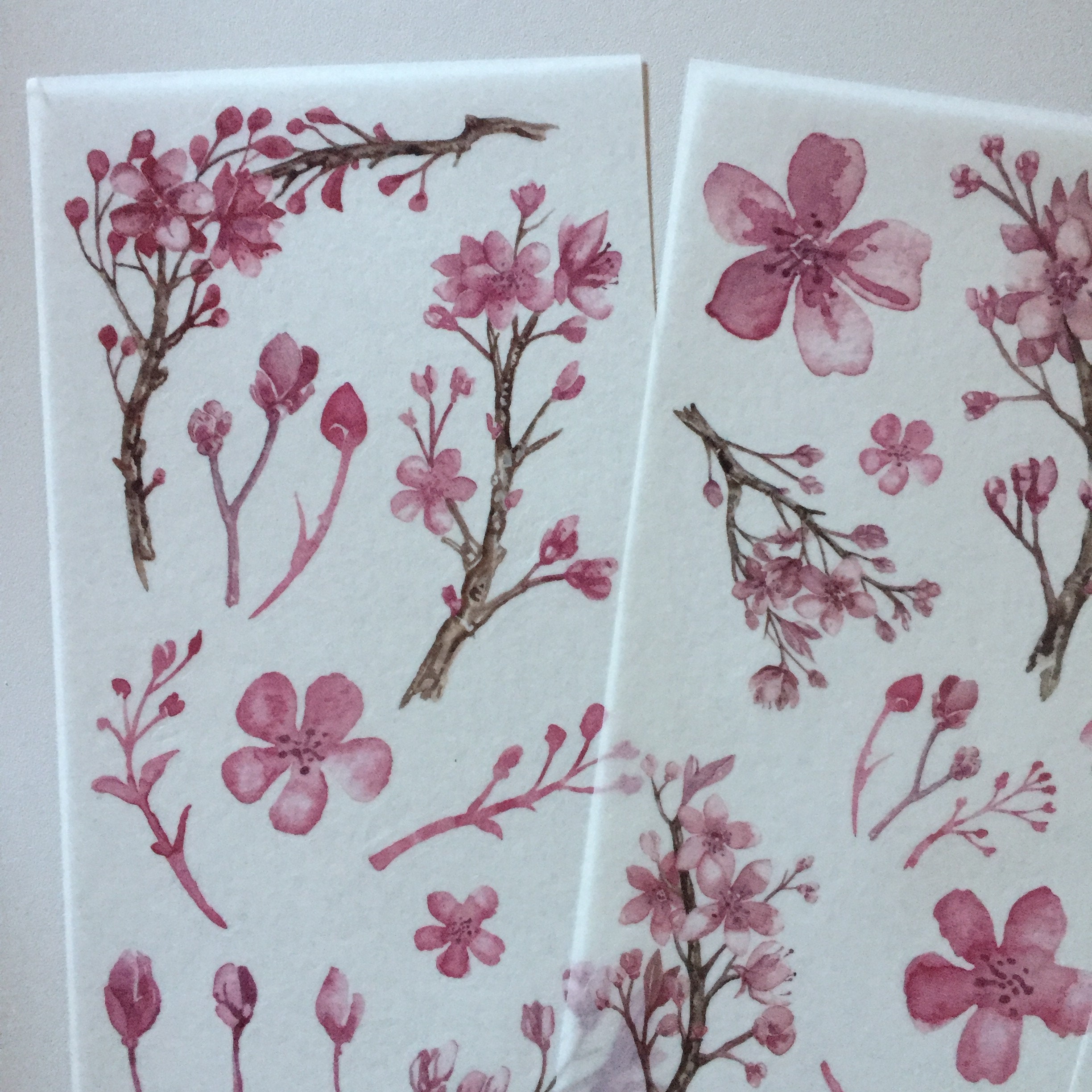 Watercolor Sakura Sticker Set: Pink Cherry Blossom Planner Stickers - Etsy