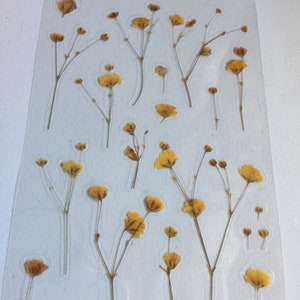 Gelbe Gypsophila Pflanzenaufkleber, Gelbe Babyatem-Blumenaufkleber, Blumenplaner-Aufkleber, Botanische Scrapbook-/Handarbeitsaufkleber