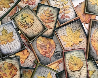 Vintage höstlövcollageklistermärken, stora höstlövklistermärken, collageplanerarklistermärken, höstscrapbookingklistermärken, presentinslagning