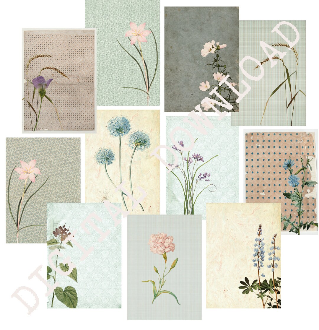 レトロな花柄コラージュシート：ヴィンテージ植物アート（デジタル