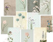 Retro Floral Collage Sheets: Vintage Botanical Art (Digital Download)