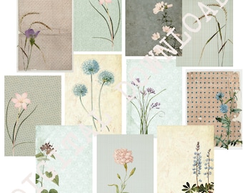 May include: A collage of ten digital paper designs featuring various floral illustrations. The papers have a vintage aesthetic with muted colors and delicate floral patterns. The designs include pink flowers, blue flowers, and green foliage.