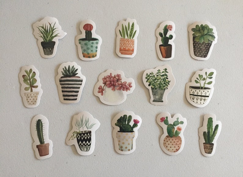 Cactus Stickers, Succulents Stickers, Cacti Plants Stickers, Botanical Decorative Stickers, Scrapbook Stickers, Planner Stickers image 4